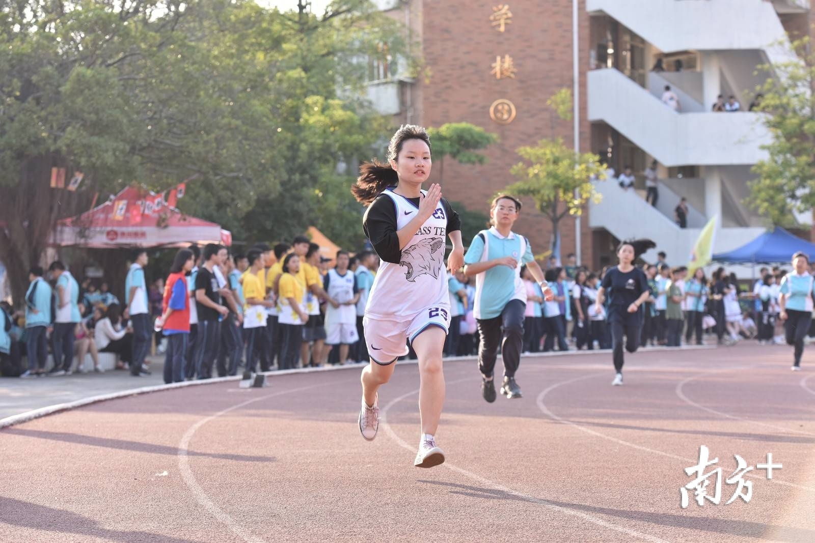 三水深入推动普通高中特色发展,学习得以从不同的跑道脱颖而出。 三水区华侨中学供图 三水深入推动普通高中特色发展,学习得以从不同的跑道脱颖而出。 三水区华侨中学供图