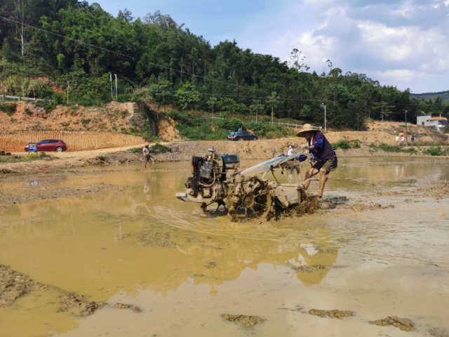 【决战决胜脱贫攻坚】促就业、兴产业 博罗公庄南梅村致富有了新奔头