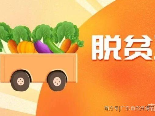 #新媒体爆款大赛投稿#脱贫攻坚| 数说海角村扶贫成果