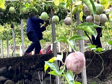 曲江樟市镇：多措并举打赢脱贫攻坚战