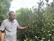 创办家庭农场带动群众脱贫，他获评省“优秀创业致富带头人”