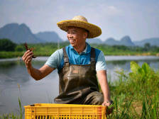 外出务工的年轻人回来了，鱼咀村还请进了这位“致富明星”