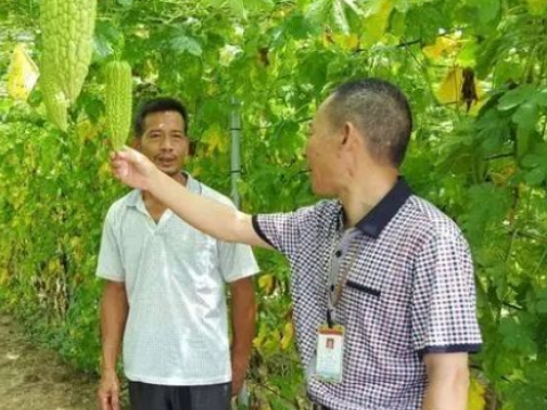 【榜样的力量】他跑了十年的扶贫路,如今又要带领农村群众共奔小康……