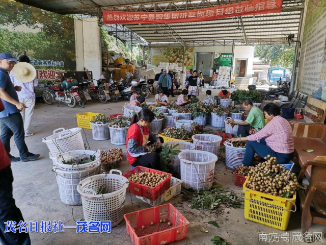 沙田镇引领群众走出脱贫新路子