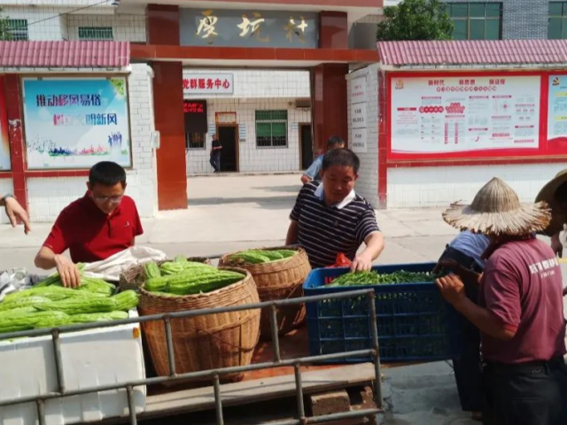 【走向我们的小康生活】仁化县联动式消费扶贫让贫困户腰包鼓起来