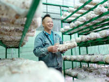 始兴县：多点发力抓党建促决战决胜脱贫攻坚