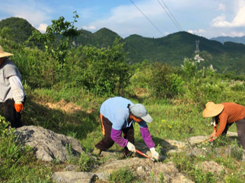 各地如何巩固古驿道保护修复成果?《南粤古驿道维护管养工作指引》新鲜出炉