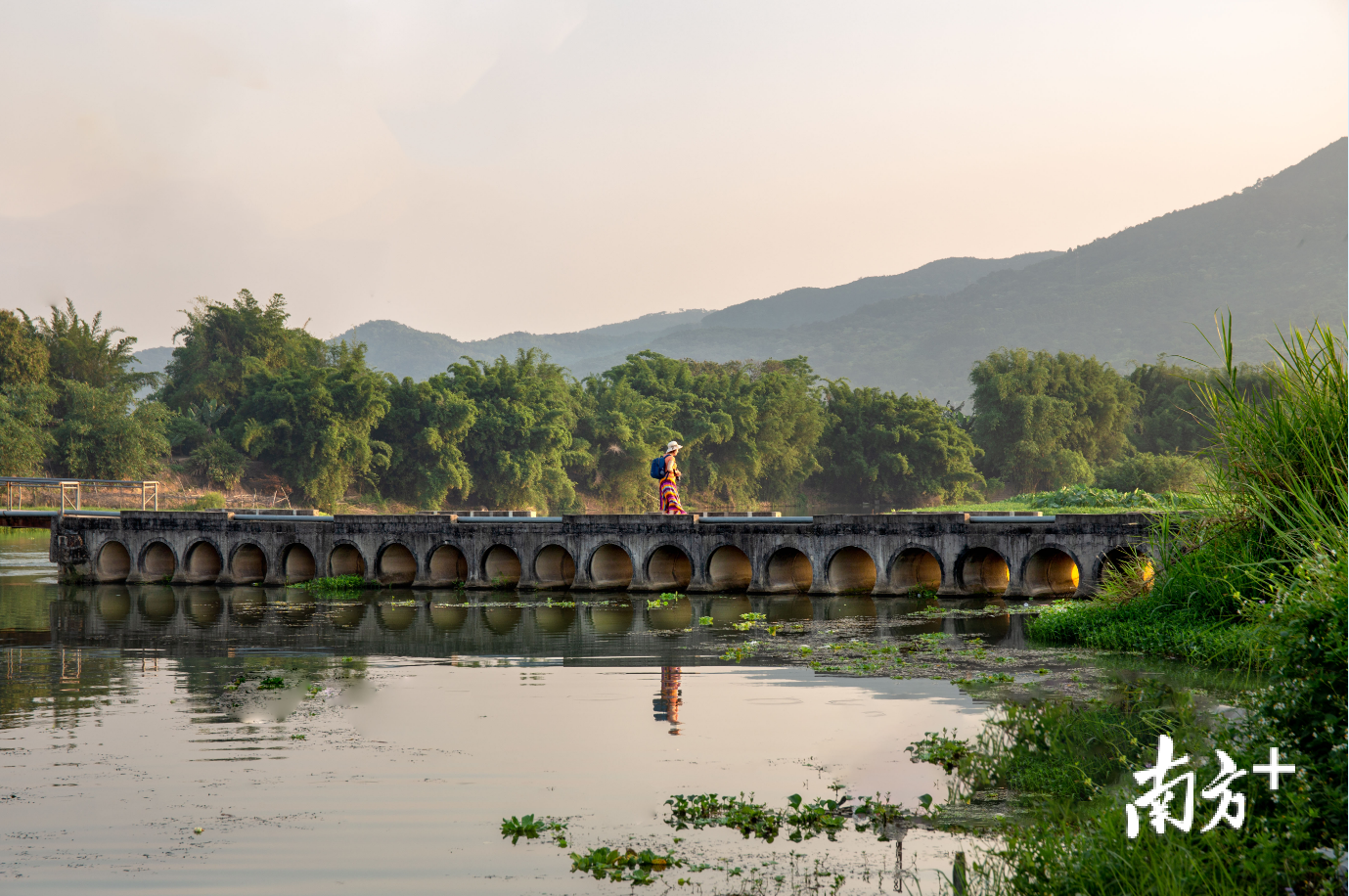 磷溪镇溪口村.舒淑梅