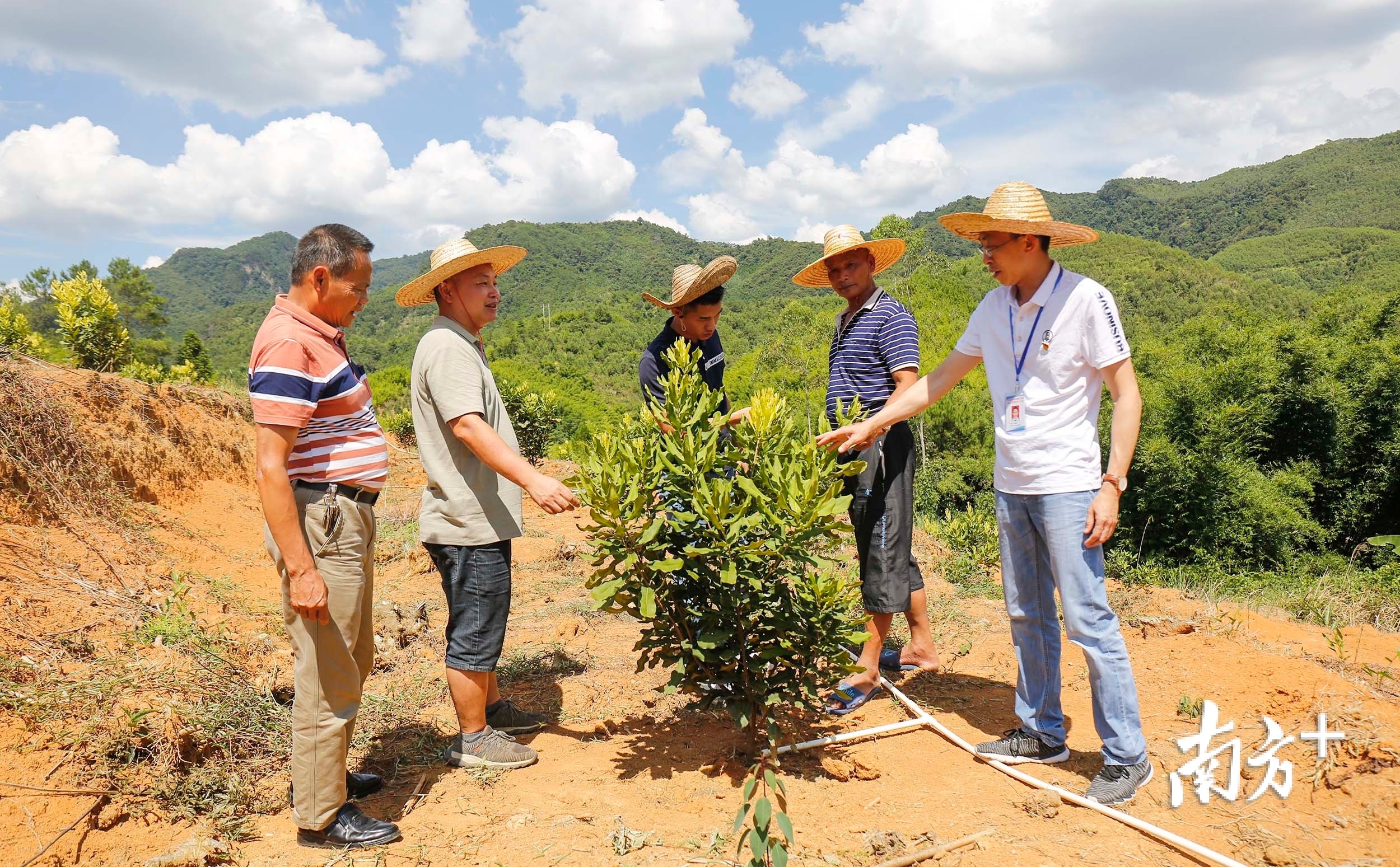 扶贫先扶志中山税务唤醒大山里的脱贫志气