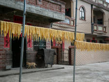 腐竹村奔向富足，革命老区飘荡致富新韵