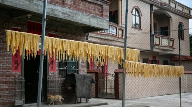 腐竹村奔向富足，革命老区飘荡致富新韵