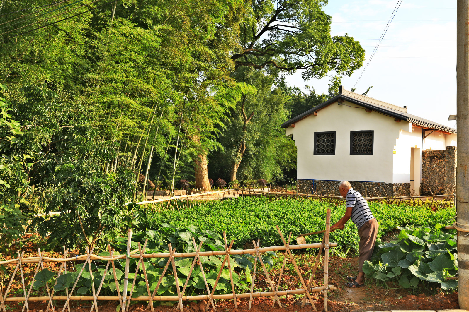 村民打理小菜园。龙全明 摄 村民打理小菜园。龙全明 摄