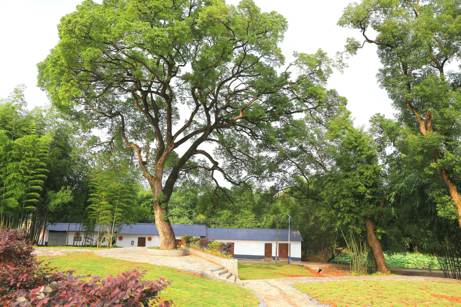 美丽宜居的乡村图景。龙全明 摄 美丽宜居的乡村图景。龙全明 摄