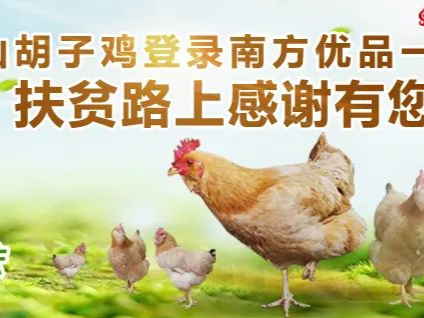 累计销售10117只,升平官山胡子鸡登录南方优品一周年,扶贫路上感谢有您