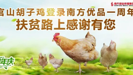 累计销售10117只,升平官山胡子鸡登录南方优品一周年,扶贫路上感谢有您