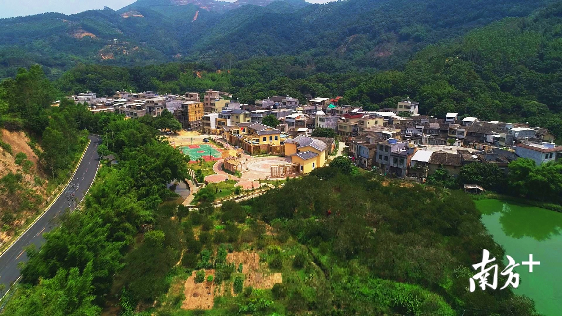 绿意盎然的饶平县东明村。