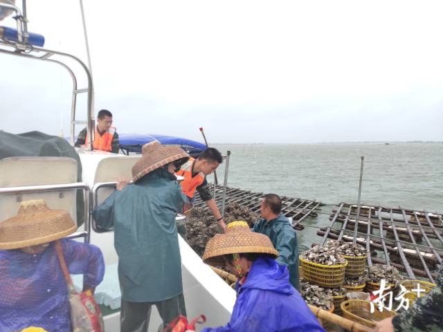 海警|湛江11名渔民因台风“森拉克”被困海上， 海警紧急营救