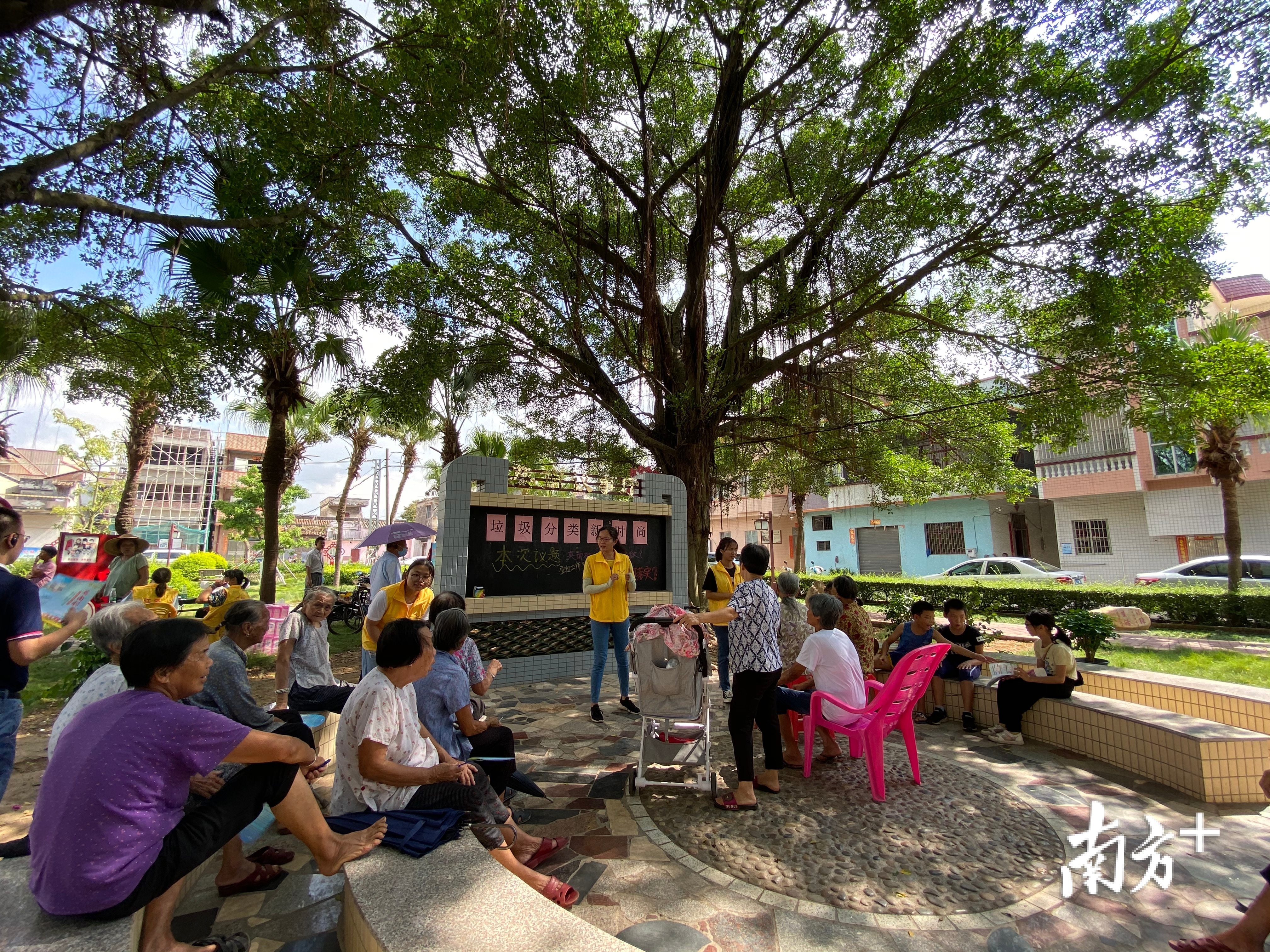 英南村法治公园里,榕树下的讲堂。 英南村法治公园里,榕树下的讲堂。