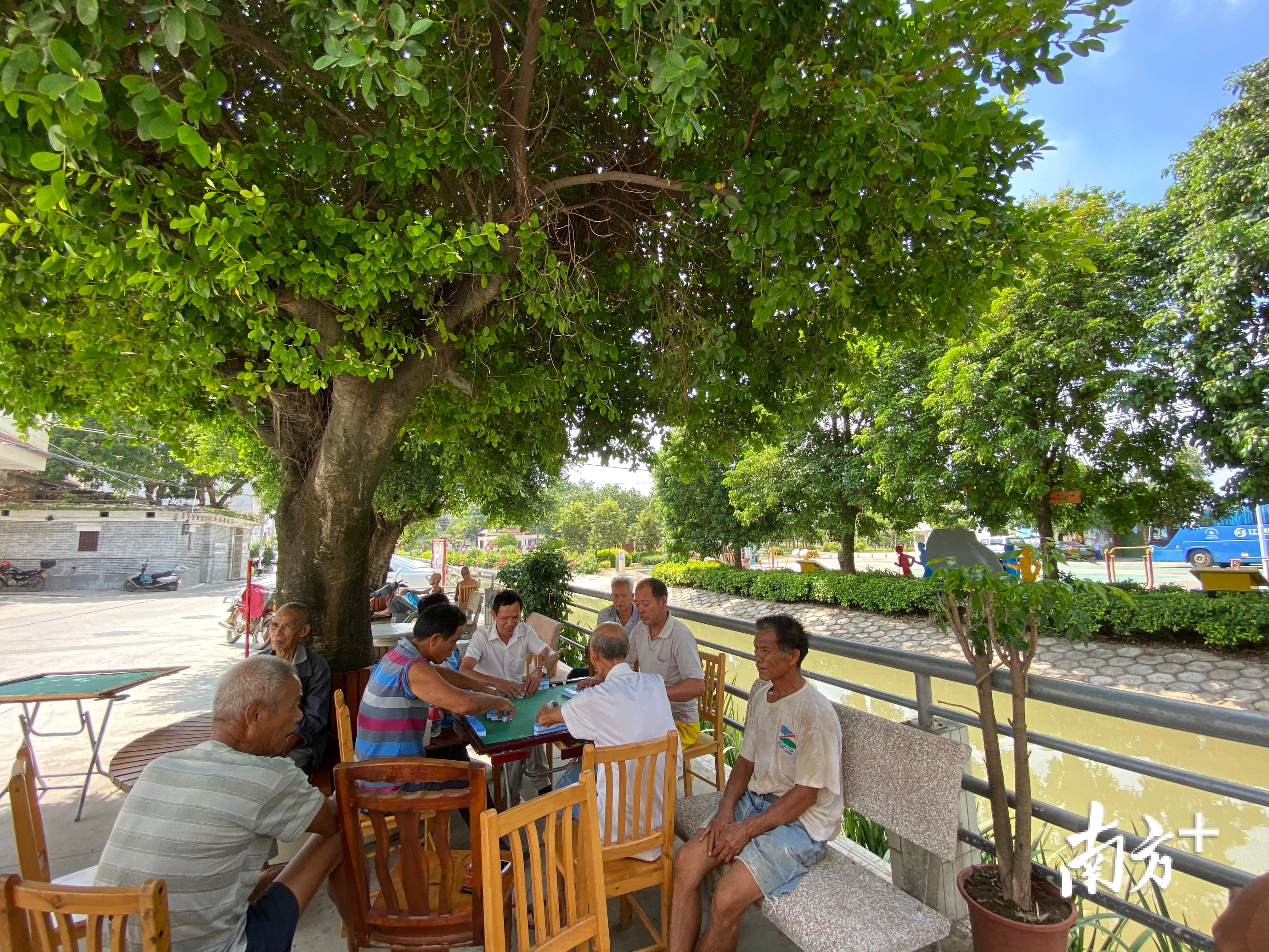 英南村里的河道两侧,种了树,修了石凳,是村民娱乐的好去处。 英南村里的河道两侧,种了树,修了石凳,是村民娱乐的好去处。