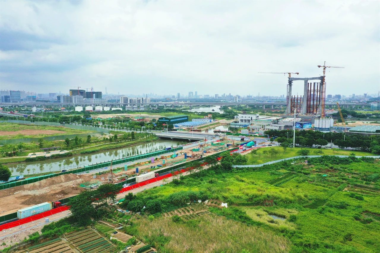 番海大桥如火如荼建设中。图/佛山新闻网