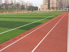 学霸套路｜开平市金山中学严绮楠：抓紧零碎时间记忆重难点
