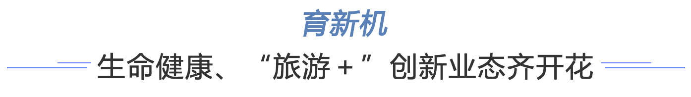  重大项目加速跑！盐田上半年实现地区生产总值324.25亿元