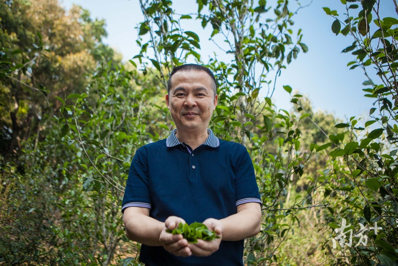 岁月知味创始人郑少烘