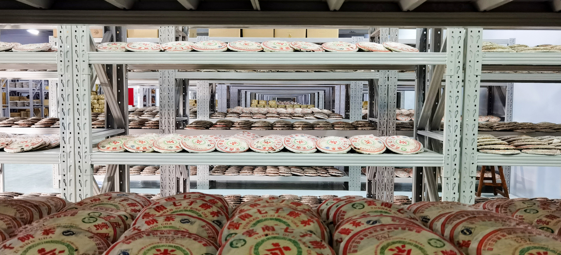 寻茶东莞|原来东莞40多万吨藏茶在这里!