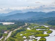 世界龙眼黄，分界加工忙｜一文速览《南方日报·高州视窗》第19期