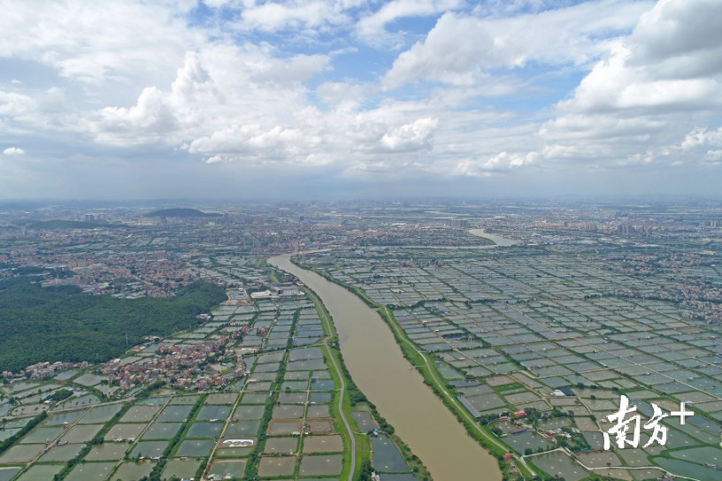 佛山桑园围水利工程申遗进入冲刺阶段。南方日报记者 戴嘉信 摄 佛山桑园围水利工程申遗进入冲刺阶段。南方日报记者 戴嘉信 摄