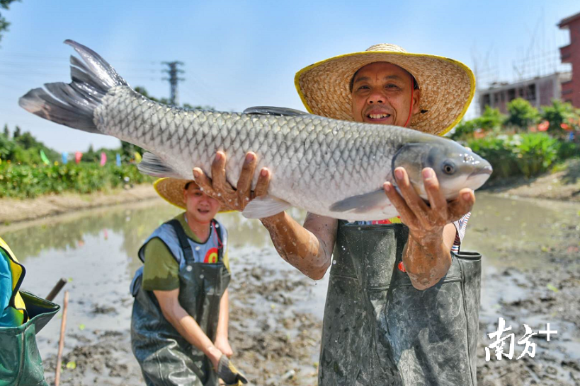 有了基围闸窦的保障,九江人育苗繁育的生意一直得以流传。南方日报记者 戴嘉信 摄 有了基围闸窦的保障,九江人育苗繁育的生意一直得以流传。南方日报记者 戴嘉信 摄