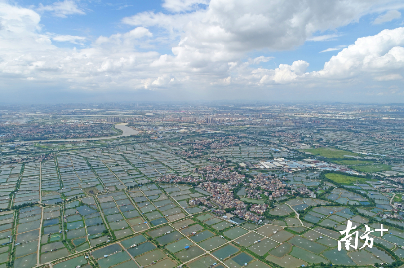 佛山桑园围水利工程是岭南地区最大水利堤围工程,也是唯一一个由政府出资修建的水利堤围。南方日报记者 戴嘉信 摄 佛山桑园围水利工程是岭南地区最大水利堤围工程,也是唯一一个由政府出资修建的水利堤围。南方日报记者 戴嘉信 摄