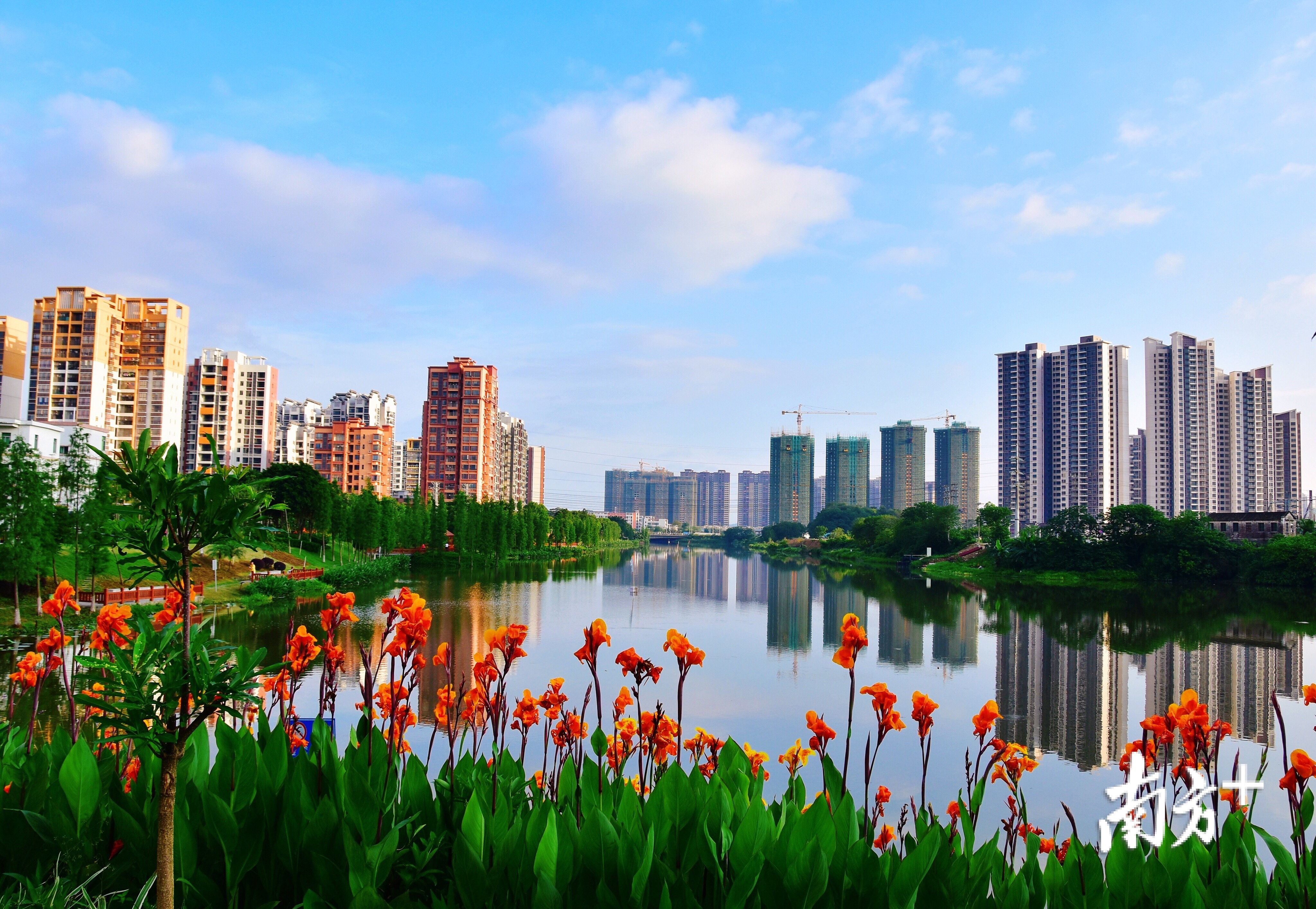 高明坚持生态文明建设。 高明坚持生态文明建设。