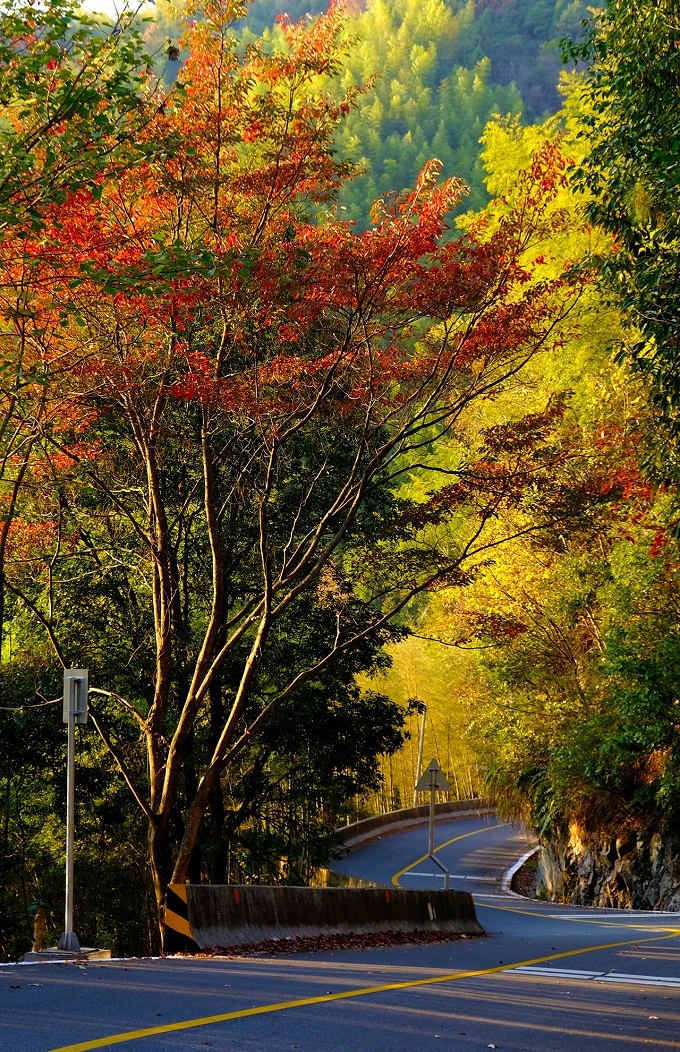 始兴最美乡村公路图片