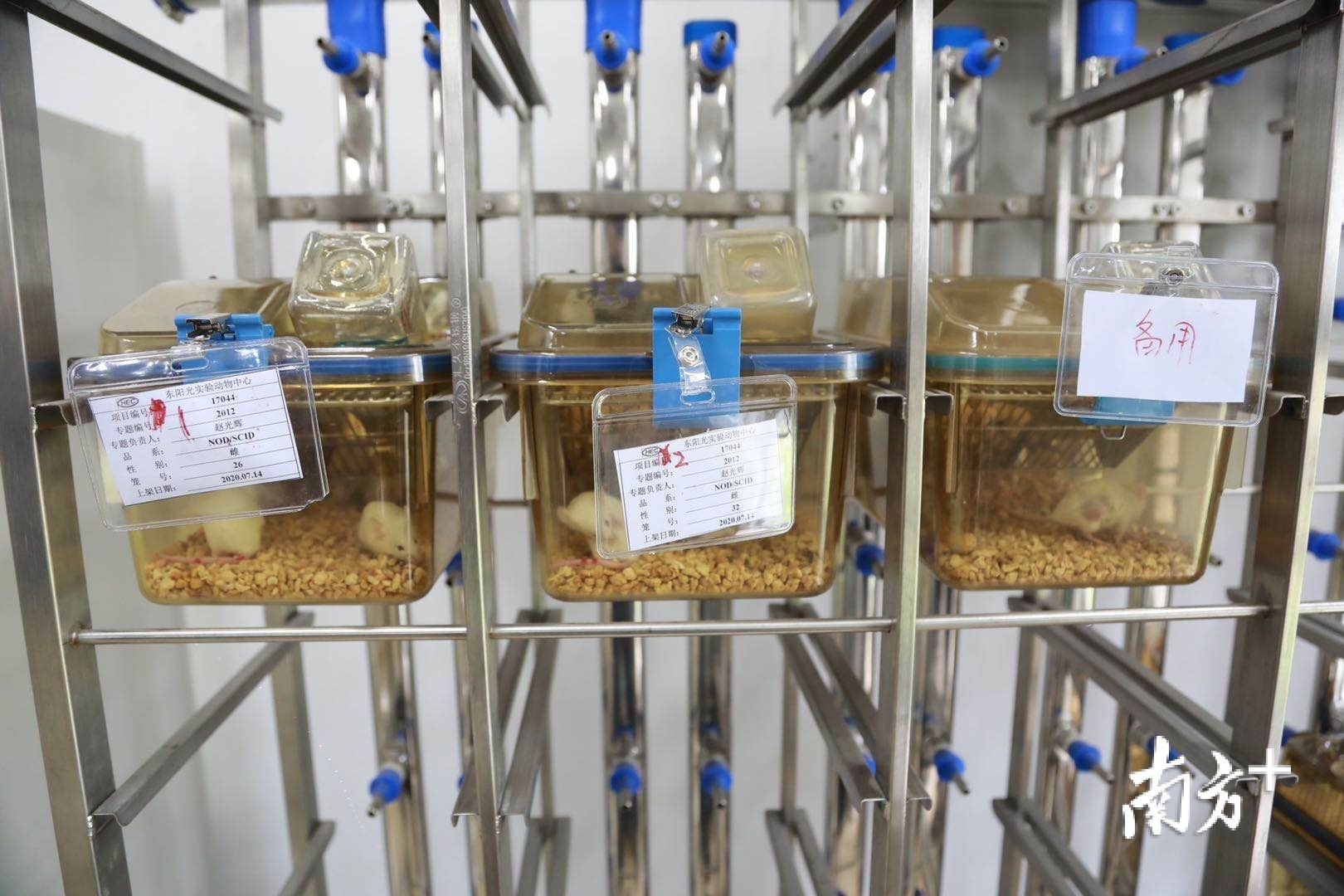 治癌新手段！我国首台加速器硼中子俘获治疗实验装置研制成功