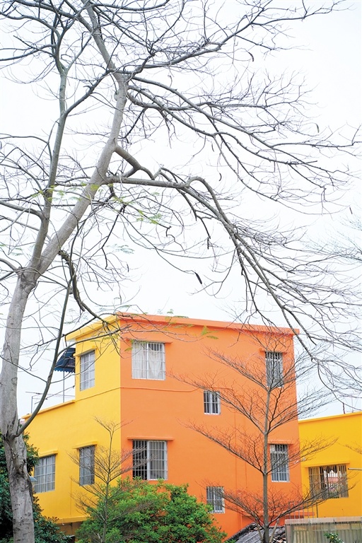 江海区"彩虹村"换"新装",村民笑开颜