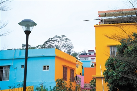 江海区"彩虹村"换"新装",村民笑开颜