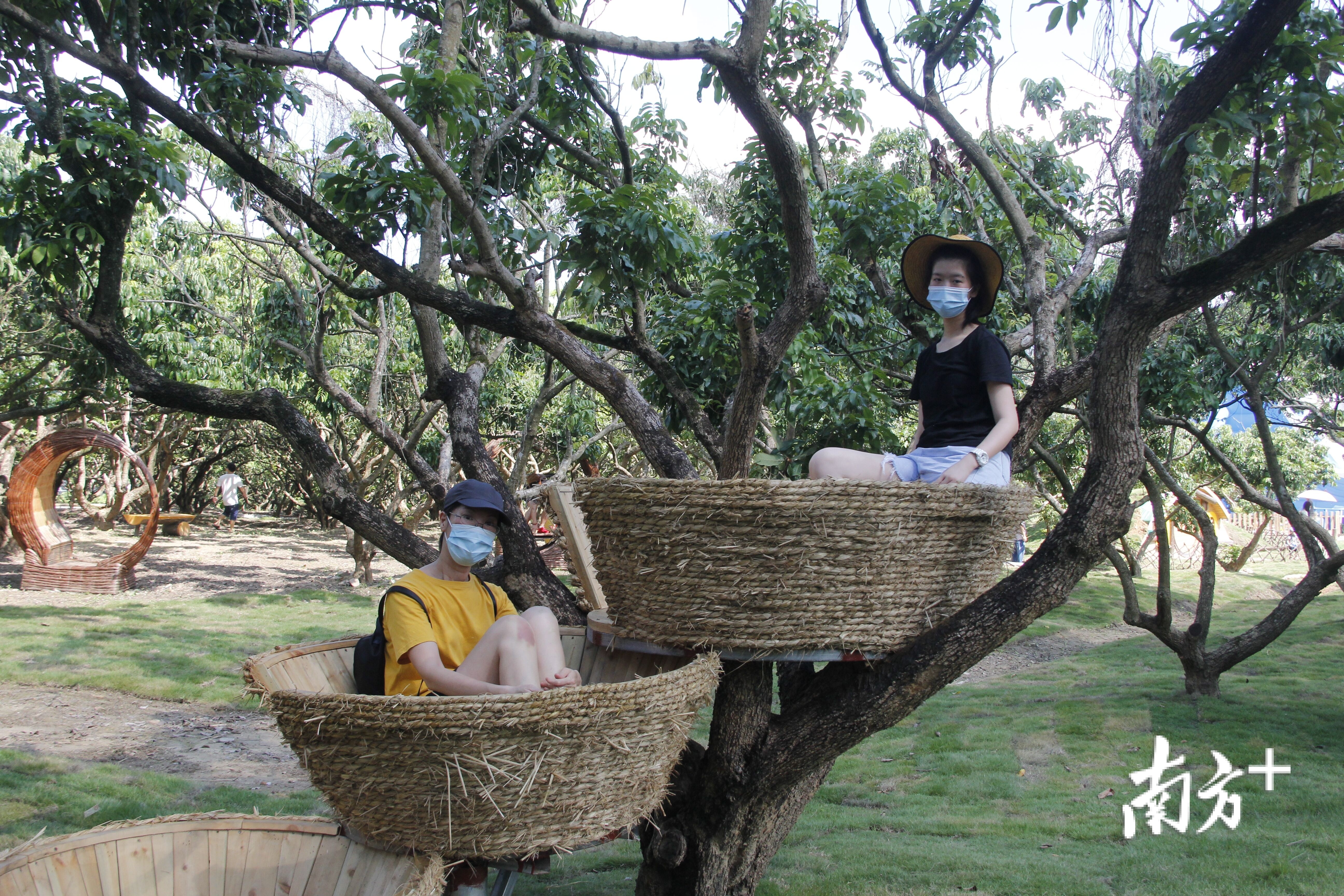 8月15日,位于清溪镇铁场村的东莞耕山小寨开始试业。