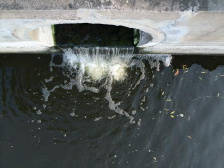 吴川振文灌溉渠变“排污渠”追踪：立即组织整改