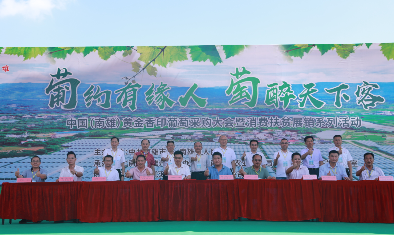 现场签约 现场签约