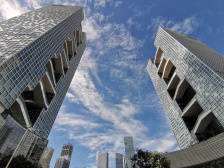 粤海奇迹：“蚂蚁”如何输出“大象”之力？｜顺德三核两高系列调研①