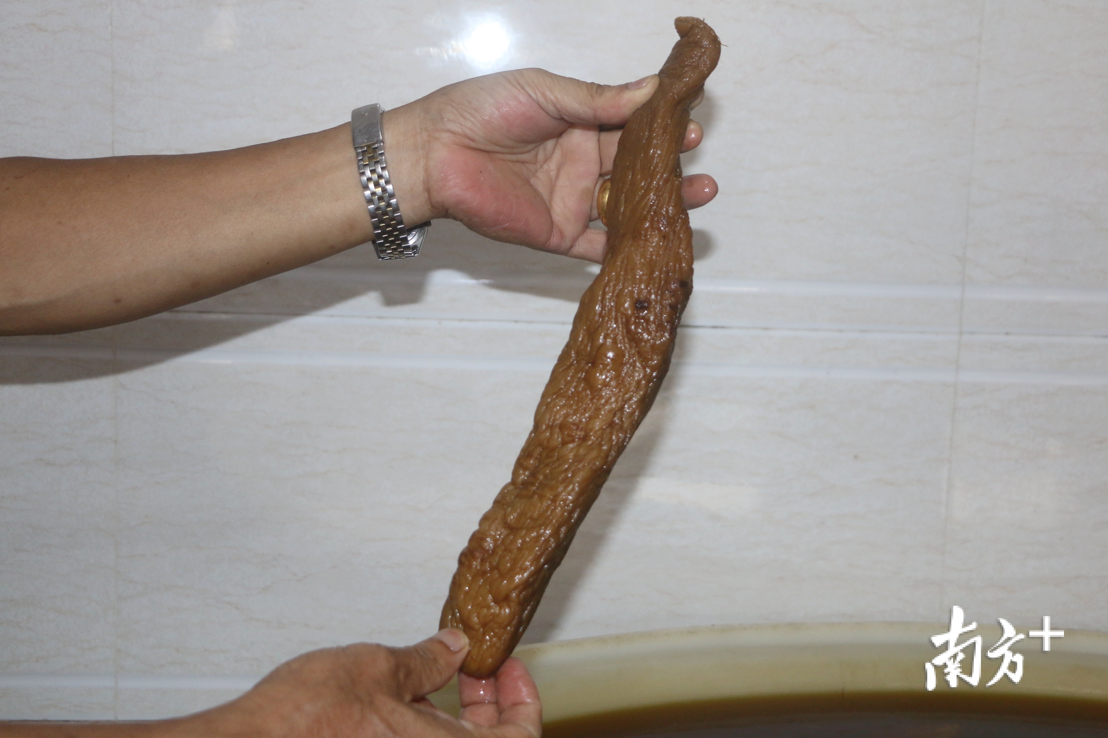 菜脯内含有糖化脢、胆碱等有益菌，对于糖尿病、血糖过高、便秘等均有良好的食疗功效。