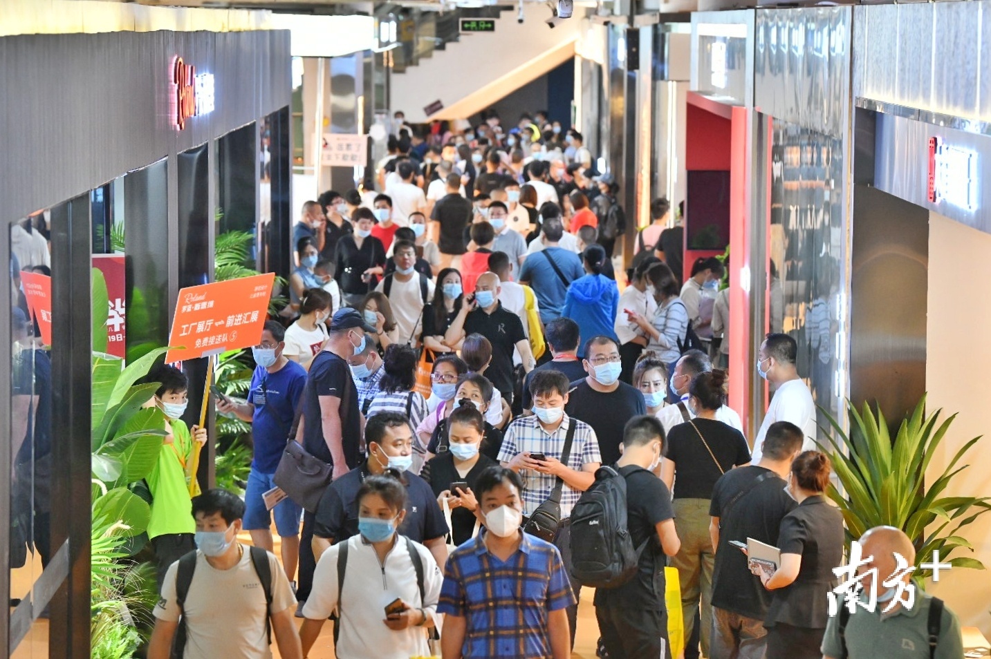 龙家展现场。戴嘉信摄