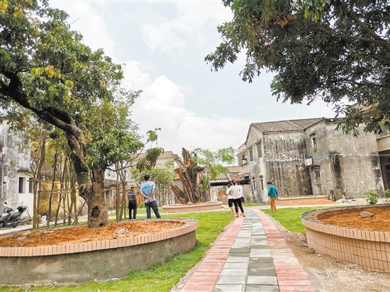 长沙村的烂地改造成“口袋公园”，村民都拍手称好。