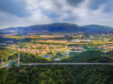 图说南山 | “城市三水·镜美湾区”采风作品优选②