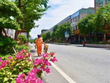 解码｜地豆如何打造成为四会首个国家卫生镇