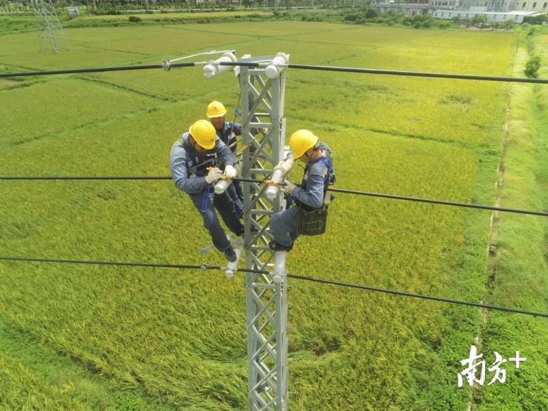 每年迎夏峰，台山供电局都会组织人员支援川岛2个供电所的线路检修，迎接旅游旺季的到来。许伟峰 摄