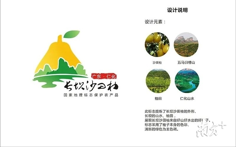 长坝沙田柚logo评选一等奖作品。