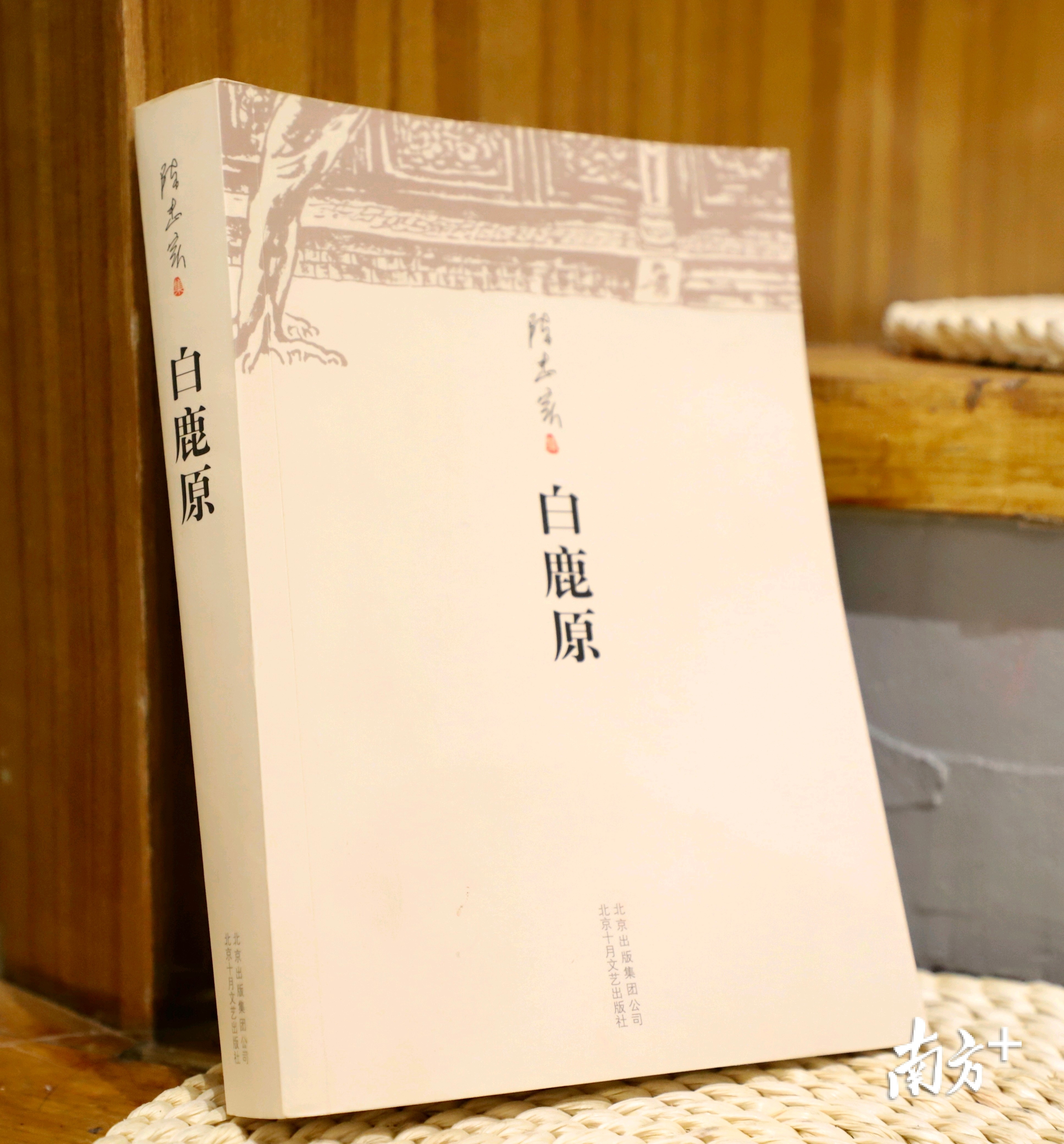 荐书律师陈荣我的阅读就像炖土豆大杂烩