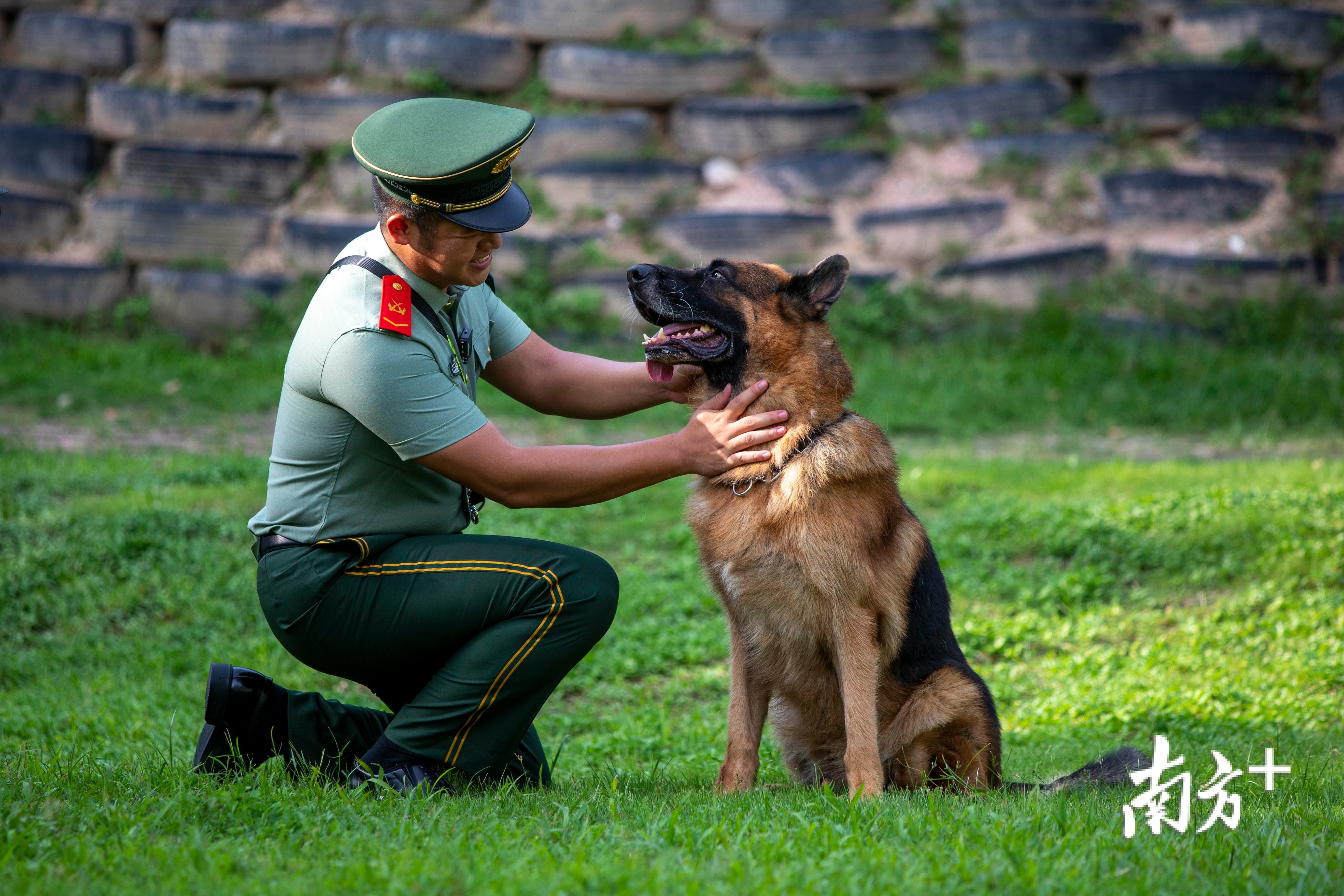 视频再见黑剑训犬员退役泪别军犬